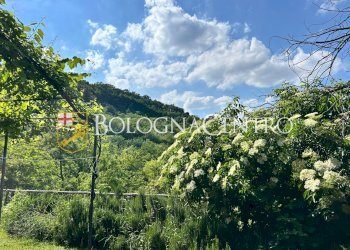 Appartamento Bologna (zona San Luca) - foto 27