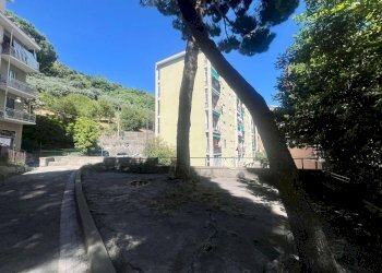 Trilocale Genova (zona Sampierdarena) - foto 19