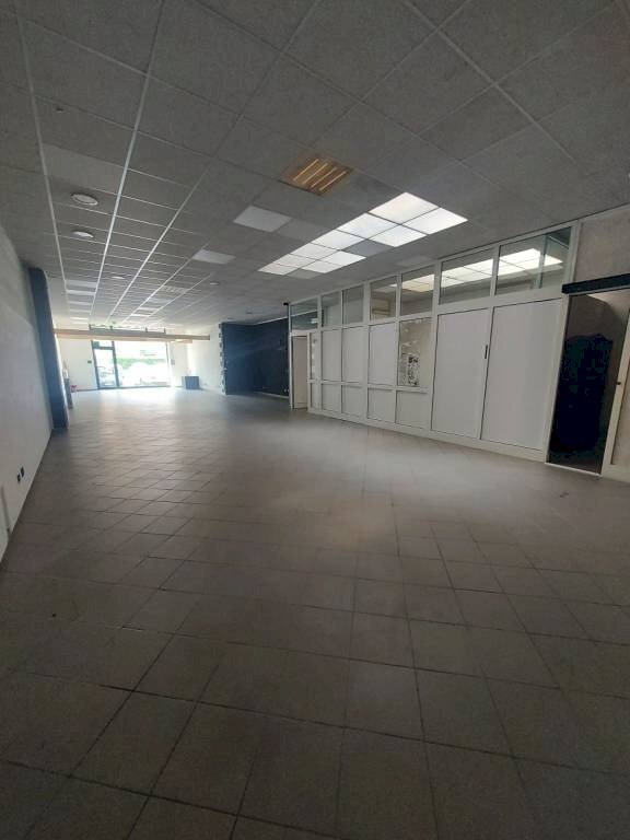 Negozio Pinerolo - foto 3