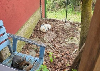 Casa indipendente Via Ca' Ferrari, Castel d'Aiano - foto 3