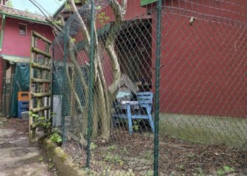 Casa indipendente Via Ca' Ferrari, Castel d'Aiano - foto 6