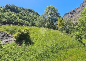 Bilocale Fraz. Cornetti, Balme - foto 20