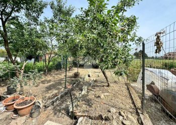 Casa semi indipendente Via pronelli, Buriasco - foto 18