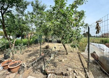 Casa semi indipendente Via pronelli, Buriasco - foto 19