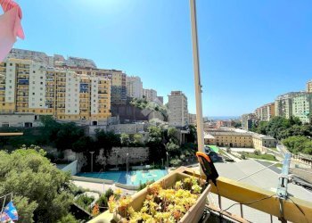 Appartamento Via Napoli, Genova (zona Oregina) - foto 10