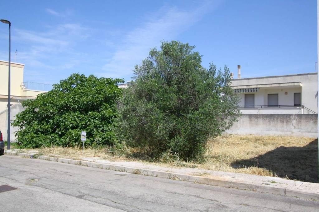 Zona - Terreno edificabile via Giorgio La Pira, Parabita - foto 2