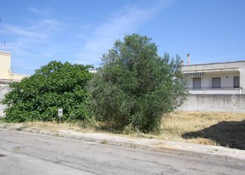 Zona - Terreno edificabile via Giorgio La Pira, Parabita - foto 2