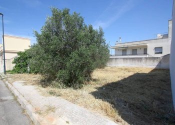Terreno - Terreno edificabile via Giorgio La Pira, Parabita - foto 3