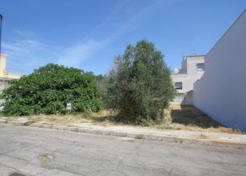 Zona - Terreno edificabile via Giorgio La Pira, Parabita - foto 5