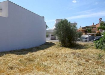 Terreno - Terreno edificabile via Giorgio La Pira, Parabita - foto 13