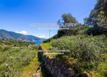 Terreno - Three-room apartment via Montemezzana, Rapallo - photo 6