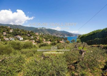 Vista - Trilocale via Montemezzana, Rapallo - foto 30