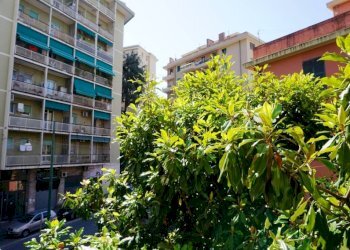 Zona - Bilocale via Vasco De Gama, 2, Genova (zona Sampierdarena) - foto 18