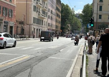 Zona - Negozio corso Buenos Aires, Genova (zona Foce) - foto 4