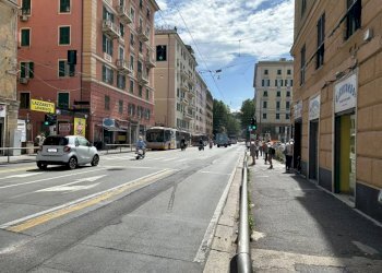 Zona - Negozio corso Buenos Aires, Genova (zona Foce) - foto 5
