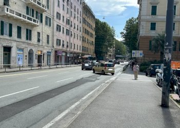 Zona - Negozio corso Buenos Aires, Genova (zona Foce) - foto 8