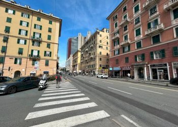 Zona - Negozio corso Buenos Aires, Genova (zona Foce) - foto 11