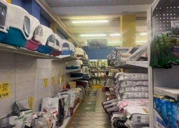 Interno non residenziale - Shop via dei Costo, Genova (neighborhood Sestri Ponente) - photo 5