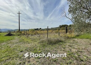 Terreno - Rustico podere santo ottaviano 74, Pomarance - foto 16