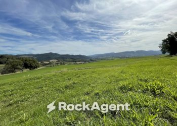 Terreno - Rustico podere santo ottaviano 74, Pomarance - foto 19