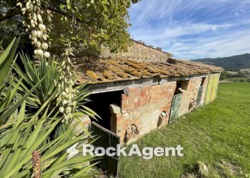 Terreno - Rustico podere santo ottaviano 74, Pomarance - foto 22