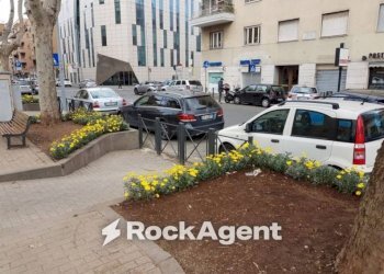 Zona - Negozio via Ignazio Giorgi, Roma - foto 1