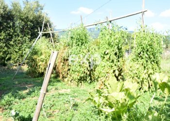 Villa LOCALITA' TRAVIGANTE 88 SUBBIANO, Subbiano - foto 12