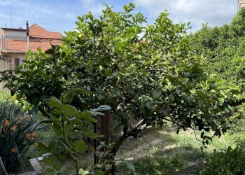 Villa Bifamiliare Salita Aquileia, Savona - foto 35