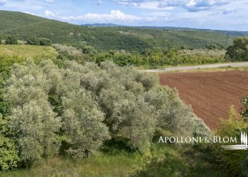 Villa Unifamiliare Via Perugia, snc, Montegabbione - foto 31