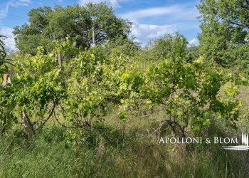Villa Unifamiliare Via Perugia, snc, Montegabbione - foto 32
