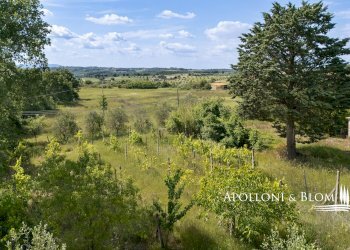 Villa Unifamiliare Via Perugia, snc, Montegabbione - foto 33