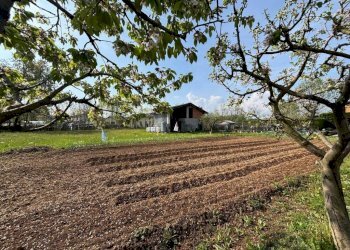 Casa indipendente Nucleo Sibilla 13, Villanova Mondovì - foto 14