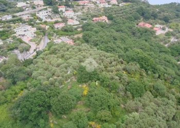 Agricultural land Località San Bernardino, Finale Ligure - photo 8