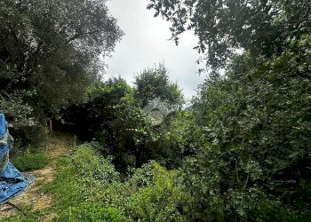 Agricultural land Località San Bernardino, Finale Ligure - photo 22