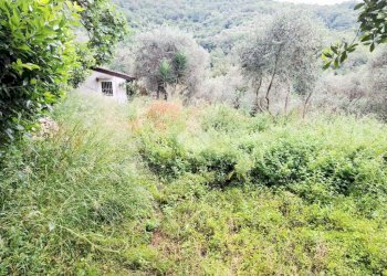 Semi-detached house Via Vivarelli, Andora - photo 31