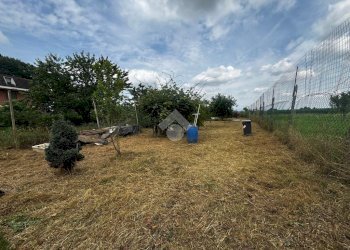 Appartamento Frazione borgonuovo, Osasio - foto 22