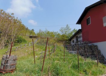 Casa indipendente Alessandria - foto 4
