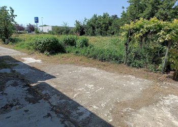 Casa indipendente Asti - foto 29