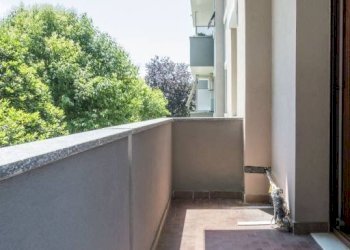 Trilocale Monza (zona Libertà) - foto 16