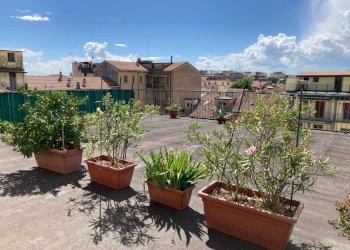 Foto 1 - Three-room apartment via giulio romano, Mantova - photo 1