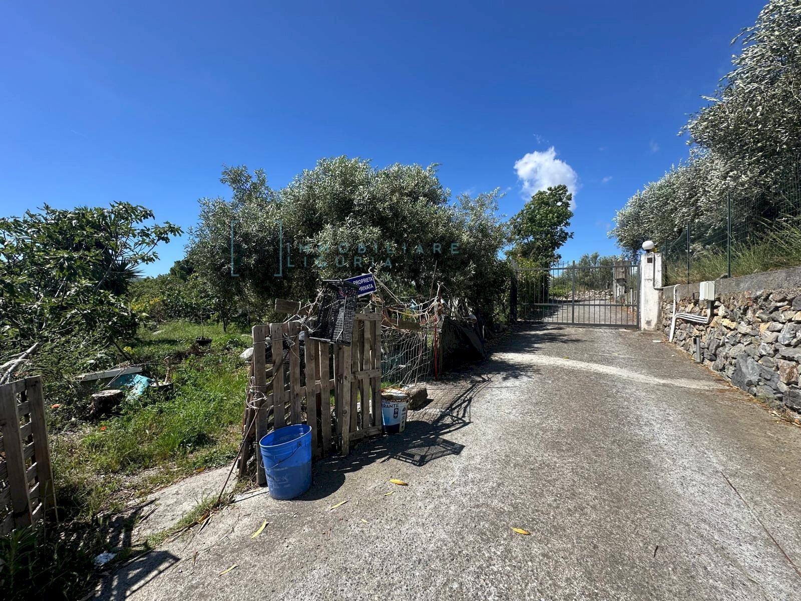 Foto 2 - Terreno agricolo via del morteo, Albenga - foto 2