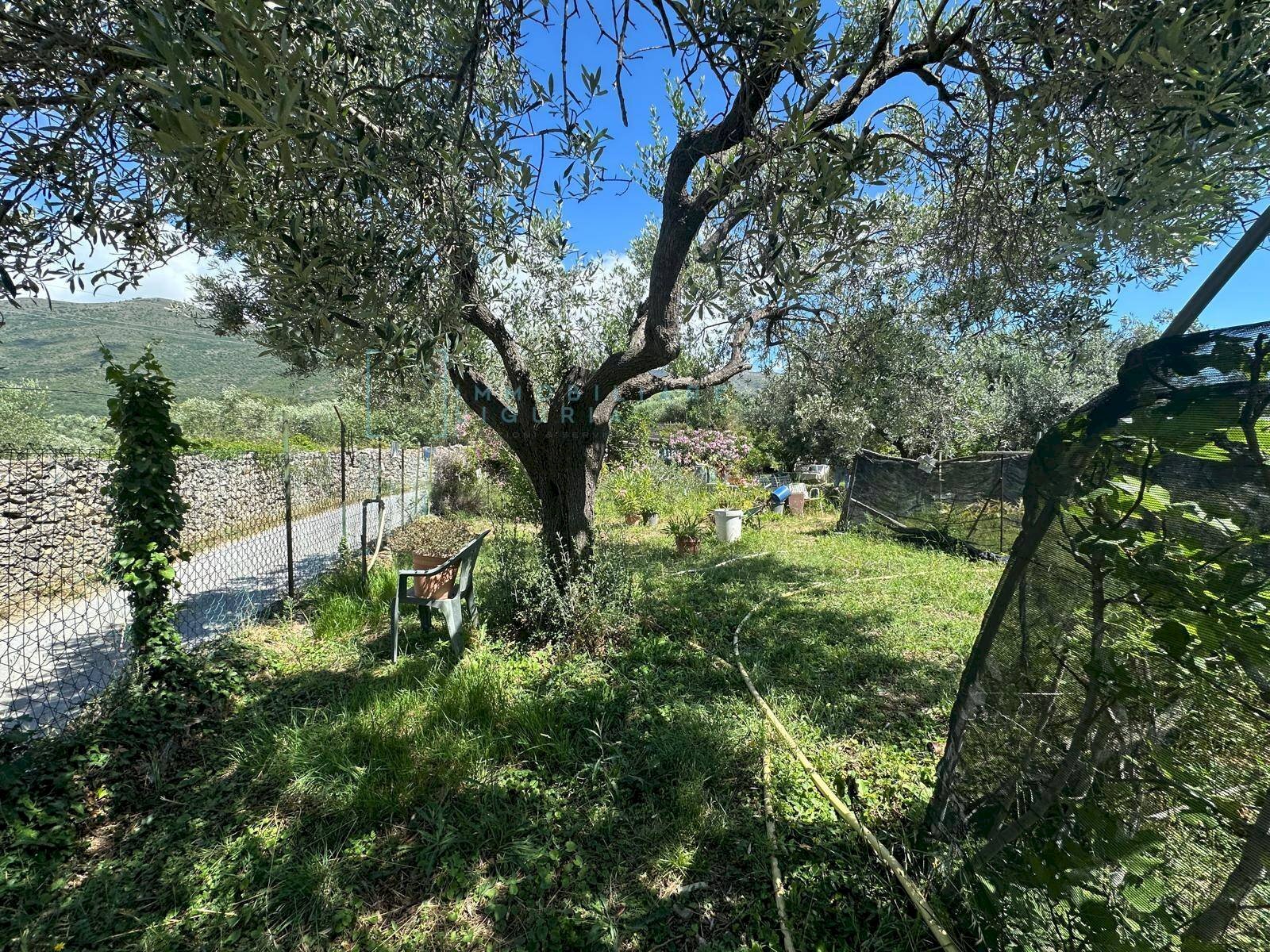 Foto 3 - Terreno agricolo via del morteo, Albenga - foto 3