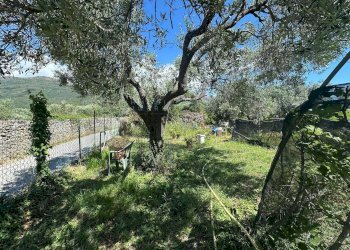 Foto 3 - Terreno agricolo via del morteo, Albenga - foto 3