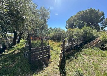 Foto 5 - Terreno agricolo via del morteo, Albenga - foto 5