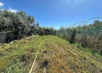 Foto 8 - Terreno agricolo via del morteo, Albenga - foto 8