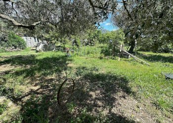 Foto 13 - Terreno agricolo via del morteo, Albenga - foto 13