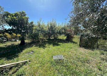 Foto 14 - Terreno agricolo via del morteo, Albenga - foto 14