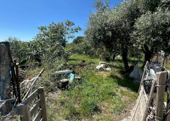 Foto 29 - Terreno agricolo via del morteo, Albenga - foto 29