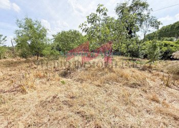 Foto 4 - Casa indipendente Via Pio
 
2, Castelmassa - foto 4
