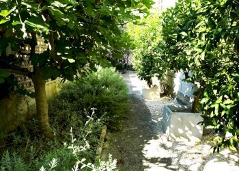 Foto 14 - Villa via Montegrappa
 
19, Grottammare - photo 14